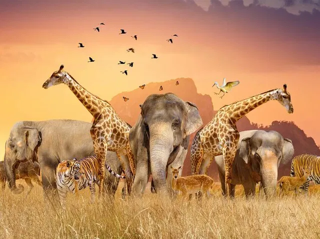 A colorful collection of various animals for kids.