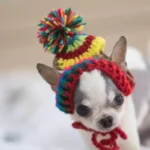 Top 10 short moral stories for kids