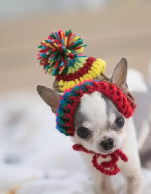 Top 10 short moral stories for kids