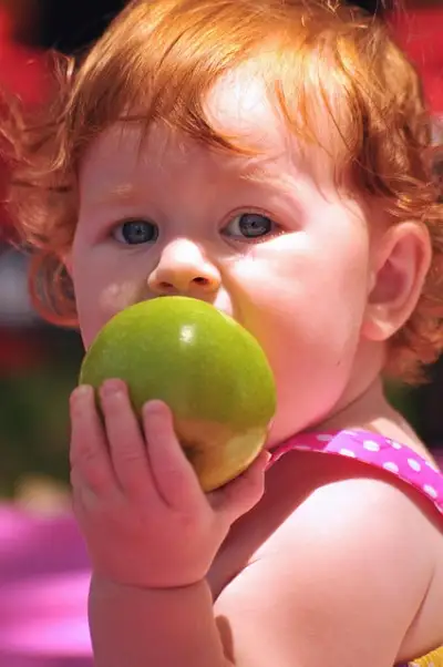 A cute toddler eating a fresh green apple to keep their body strong and ensure their teeth do not hurt.