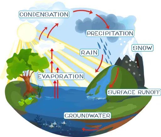 An educational diagram of the water cycle used in Science Lessons 101 to explain evaporation and rain.