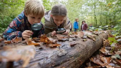 Students learning Science Lessons 101 skills by observing nature with magnifying glasses in the forest.